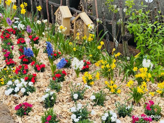 Detailaufnahme des Beetes rund um den Kugelbrunnen: ein Meer aus bunten Blumen – Hyazinthen, Nelken und Narzissen – umrahmt von Holzschnitzeln und einem Naturzaun aus Ästen. Frühlingspracht auf kleinstem Raum.