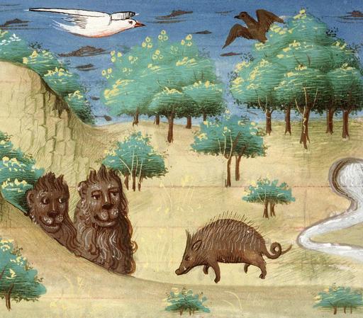 Hey pig, go back! it’s a trap! Bartholomeus Anglicus, ‘Livre des propriétés des choses’ (‘De proprietatibus rerum’, French translation of Jean Corbechon), Paris 1447. Amiens, Bibliothèque municipale, ms. 399, fol. 157v.
#medieval #MedievalArt