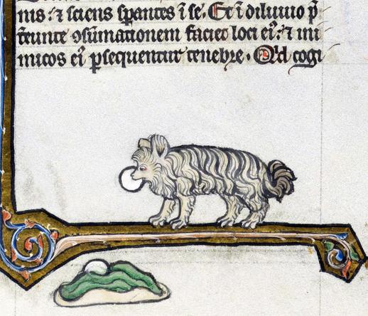 Medieval poodle? Biblia porta, France 13th century. Lausanne, Bibliothèque cantonale et universitaire de Lausanne, U 964, fol. 354r.
#medieval #MedievalArt