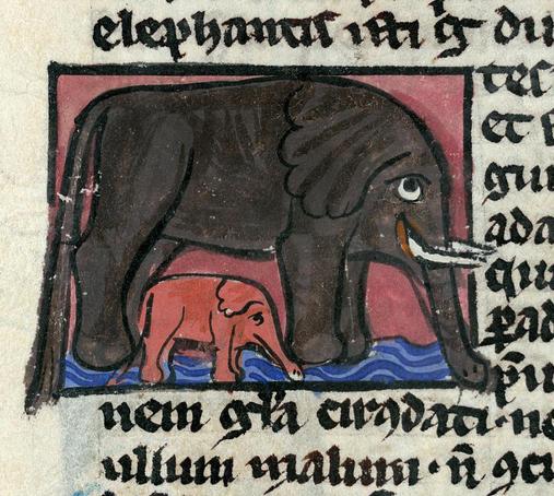 Elephant mom and calf. bestiary, France ca. 1230-1260. Valenciennes, Bibliothèque municipale, ms. 101, fol. 196r.
#medieval #MedievalArt