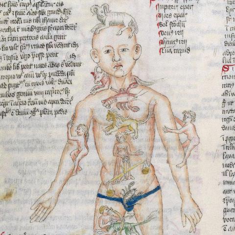 #Zodiac Man. medical miscellany (‘Wellcome Apocalypse’), Germany 1420. London, Wellcome Library, MS.49, fol. 43v.
#medieval #MedievalArt