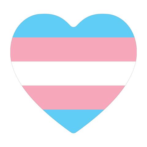 Transgender colors on heart on white background