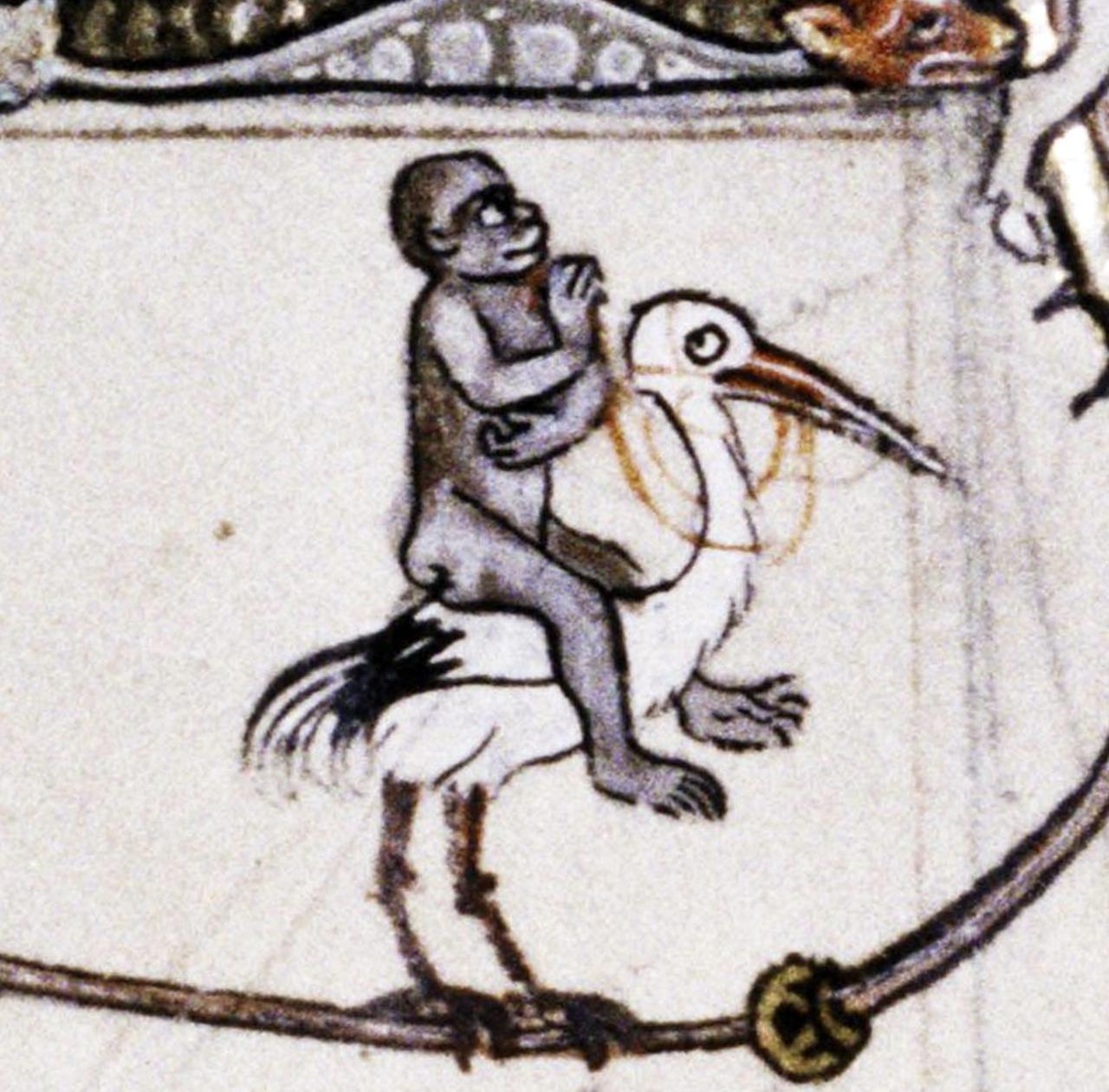 Rider on the stork. psalter, England 13th century. Bodleian Library, MS. Douce 5, fol. 211v.
#medieval #MedievalArt