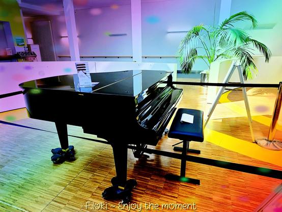 In der lichten Halle eines Gebäudes der Uniklinik Leipzig steht ein glänzend schwarzer Flügel, still wie ein schlafender Riese. Sein Deckel ist geschlossen, als würde er auf den nächsten Musiker warten, der ihm für einen Moment Leben einhaucht.
Vor dem Flügel ruht ein schlichter, schwarzer Hocker, auf dem ein gefaltetes weißes Blatt liegt — fast wie ein stiller Gruß, achtlos oder absichtlich dort gelassen.
Ein dezentes Schild mit Klaviertasten-Grafik kündet von Musik, während um das Instrument ein schwarzes Band gezogen ist, das die Stille respektvoll bewahrt.
Die Halle selbst ist freundlich, modern, durchflutet von Tageslicht, mit einem Hauch von Grün: Eine hohe, elegante Palme breitet ihre langen Blätter aus, als wollte sie dem Flügel Schatten spenden.
Der Raum atmet leise — ein Ort, an dem Musik und Menschen sich begegnen, wenn der Freitag kommt.
Am unteren Bildrand steht in eleganter Schrift: F.loki ~ Enjoy the moment.