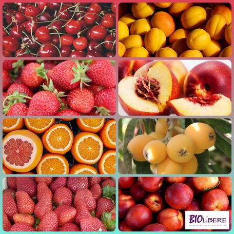 Collage de frutas de temporada. Cerezas, albaricoques, fresas , nectarinas, naranjas, nísperos...