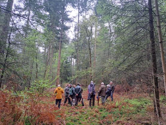 Discussieleiders van Pro Silva bereiden de voorjaarsexcursie van 2025 van Pro Silva voor in structuurrijk douglasbos
