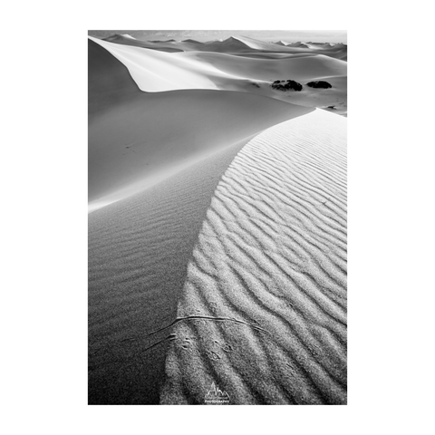 Early morning on a Sand dune in Death Valley National Park