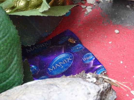 Si si c'est un préservatif de marque (manix) et il est neuf. emballage turquoise et violet.