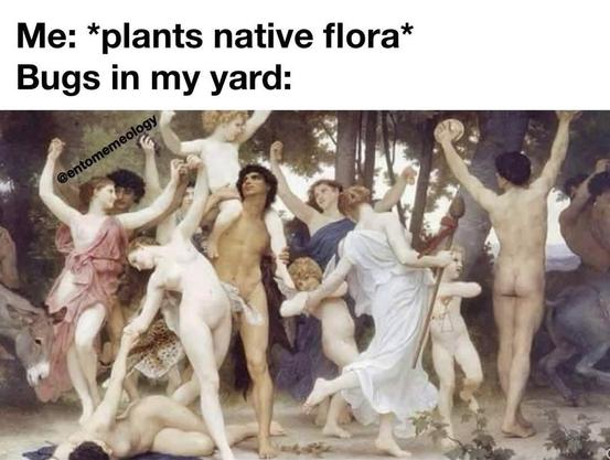 meme with renaissance painting of dyonisiac retinue - with caption: "Me *plants native flora* - Bugs in my yard: