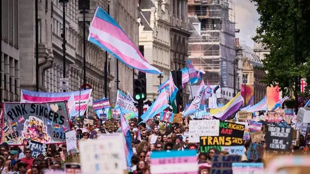 Bild zeigt einen Protestzug mit trans Flaggen und Schildern für trans Rechte.