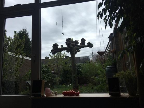 Na bijna 48 uur zware bewolking en regen, klaart het weer een beetje op, wordt het licht bewolkt, en komt er weer wat stroom uit de PV.