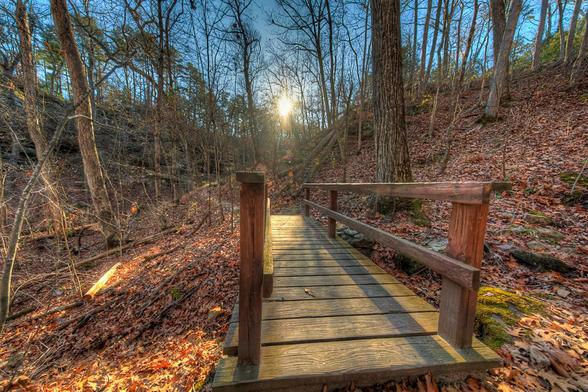 A wooden footbridge stretches over a forested landscape