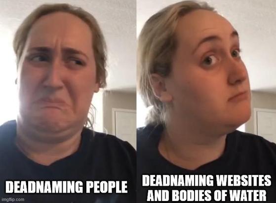 Brittany Broski Kombucha meme:

Left Broski looking disgusted: "Deadnaming people."

Right Broski looking surprisingly impressed: "Deadnaming websites and bodies of water."