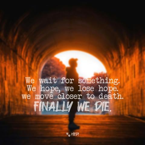 We wait for something. 
We hope, we lose hope. 
we move closer to death.
FINALLY WE DIE 