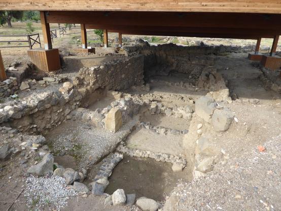 Excavations of "ox-cult" found in the remains of ancient Naxos, the first Greek colony on Sicily and founded in 734/5 BC