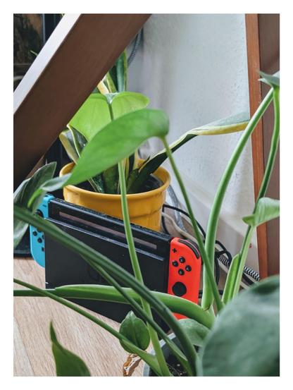 Im Bild zu sehen ist eine Nintendo Switch mit dem Blau und Roten Controllern in der Docking Station zwischen diversen Pflanzen auf dem Fußboden platziert.