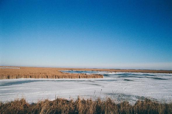 same view but with less sky and more pond; some cross-country ski tracks are visible on the frozen pond.