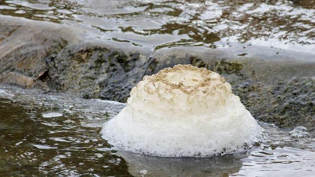 Lump of foam on water.