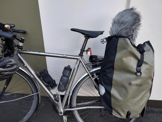 My commuter bicycle, which is raw metal color, leaning against a green and beige wall. In the one pannier is a fuzzy microphone blimp sticking out quite a bit from the top of the bag because the microphone inside is like 2 feet long almost.