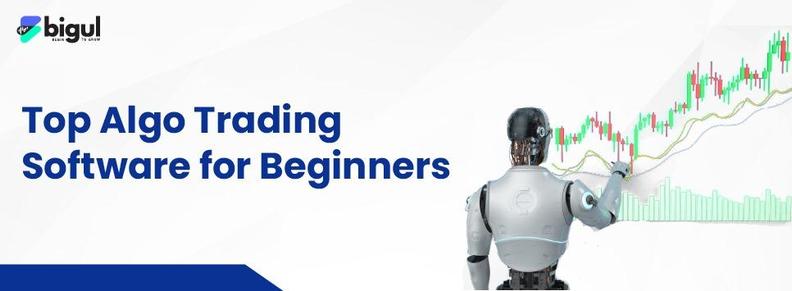 Top Algo Trading Software for Beginners | Bigul