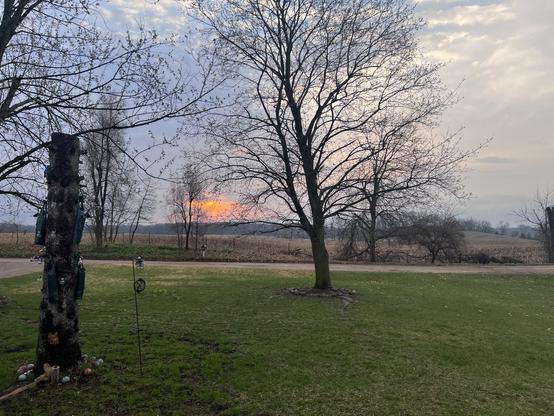 Looking out at our front yard and across the dirt road to the hills and fields beyond. The sky is all mottled clouds with a pinky orange smear above the horizon. The grass in the front yard is bright green now, but the red maple is still bare. 