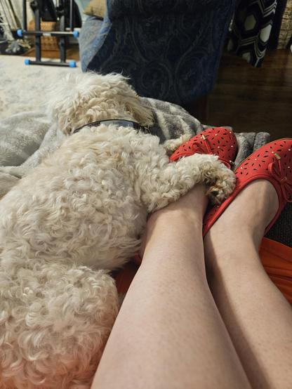 Dog sleeping with her paw around my foot.