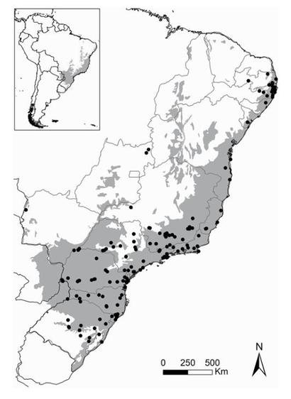 The original Atlantic Forest extent (in gray), and the geographical location of compiled forest inventories studies.