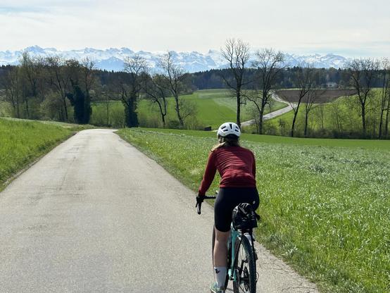 A cyclist in red, alps in the background 
