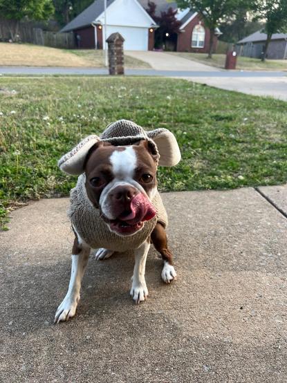 Easter Roux