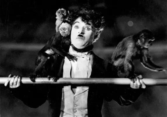 Scene from "The Circus" starring Charlie Chaplin. Did you notice the monkeys? 
