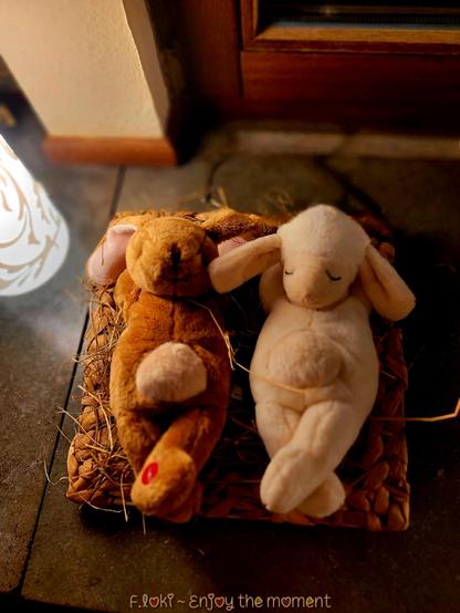 Auf dem Foto sind zwei kleine Stoffhasen zu sehen, die entspannt nebeneinander in einem flachen, geflochtenen Körbchen aus Naturmaterial liegen. Der linke Hase ist braun, der rechte Hase cremeweiß. Beide haben ihre Arme hinter den Kopf gelegt und die Beine locker übereinandergeschlagen, als würden sie gemütlich dösen und den Moment genießen.


Der braune Hase hat auf seinem rechten Fuß eine kleine rote Markierung.


Das Körbchen mit den beiden Hasen steht auf einer Fensterbank. Der Fensterrahmen ist aus dunklem Holz, der Stein der Fensterbank wirkt kühl und glatt. Links im Bild leuchtet eine stilvolle Lampe mit floralem Muster und wirft ein sanftes, warmes Licht auf die Szene.


Am unteren Bildrand ist in einer verspielten Schrift der Schriftzug zu lesen: „F.Loki ~ Enjoy the moment“.


Das Bild fängt einen friedlichen, fast magischen Moment ein — zwei Stoffhasen, die so entspannt wirken, als könnten sie wirklich das Leben genießen.