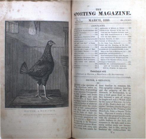 2 open pages (in black and white) from the March 1833 edition of the Sporting Magazine. The page on the left has an an image of a cockerel with the plumage of a hen. It's titled 'Hector, a Hen-Cock.'
