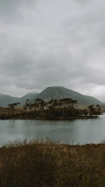 Pine Island