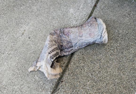 close-up of a rain-soaked newspaper viewed from above, distorted in such a way as to be suggestive of a marine animal stranded on the sidewalk. hard diagonal sidewalk groove line beneath going from upper right to lower left...