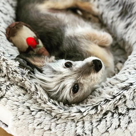Spruce upside down in her bed