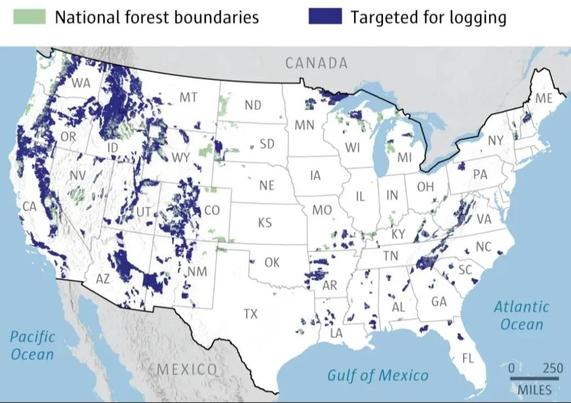 Map of National Forest areas and areas opened for logging by the Trump admin