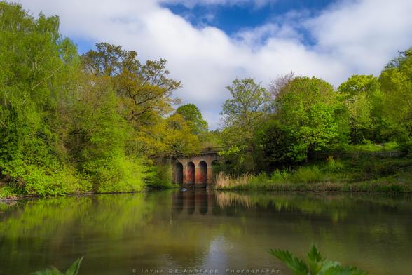 The Viaduct Pond