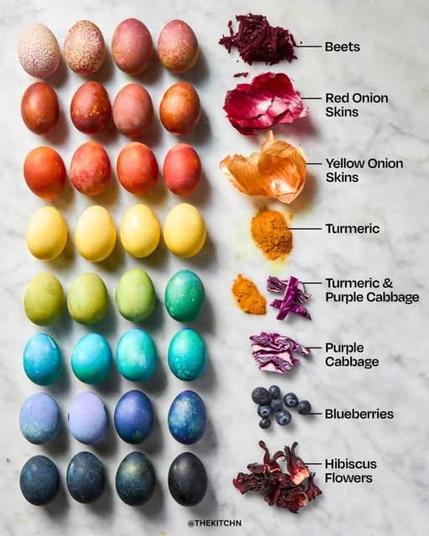 Chart indicating natural dying ingredients to colour Easter eggs, incl. beets, red onion skins, yellow onion skins, turmeric, turmeric with purple cabbage, purple cabbage, blueberries, hibiscus flowers