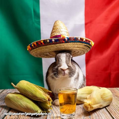 Happy Easter Everyone