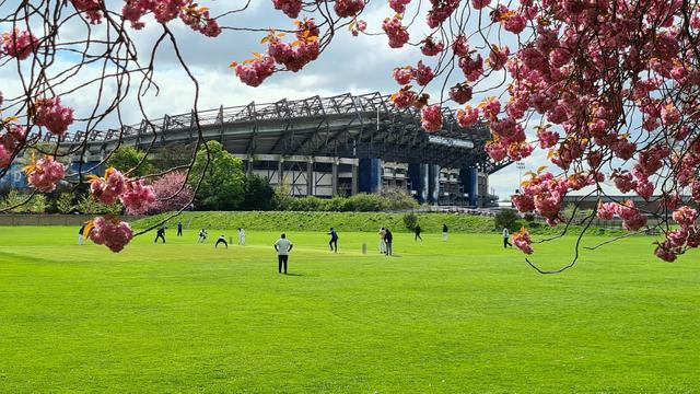 Lush green cricket ground centre of pic with players playing, framed with cherry blossoms and in the background the upturned edged bowl of Murray field stadium dominates the horizon