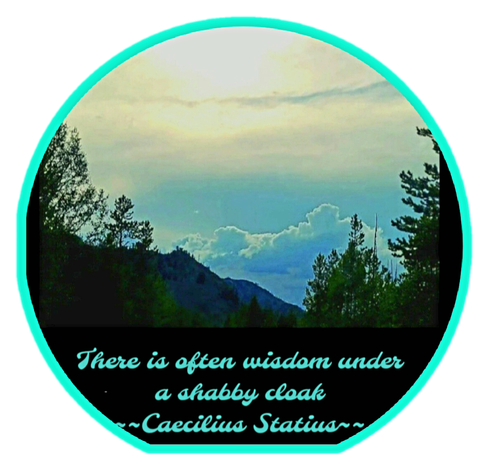 Wisdom
