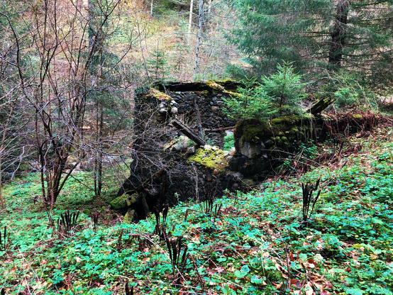 A wall of stones of what is was a tiny mill in the woods