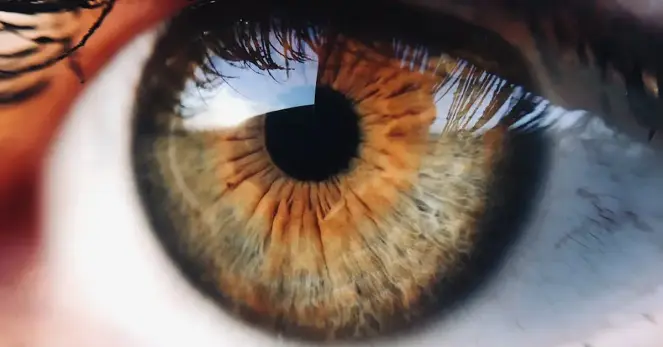 Visual illusion demonstrating an impossible color that challenges human brain processing