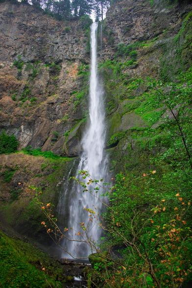 A tall, narrow waterfall known as Upper Multnomah Falls drops from a rocky cliff into a lush green canyon. Moss and trees cover the surrounding rock face, and a few small branches with orange-tinted leaves frame the foreground. The water cascades in a smooth, silky stream due to a long exposure effect.