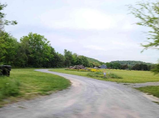 Winding gravel road through a grassy landscape, leading to a gray house nestled amongst trees.