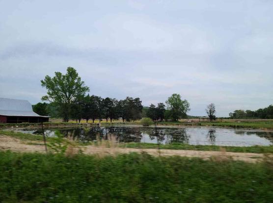 Rural landscape with a pond, a red barn, and various trees.