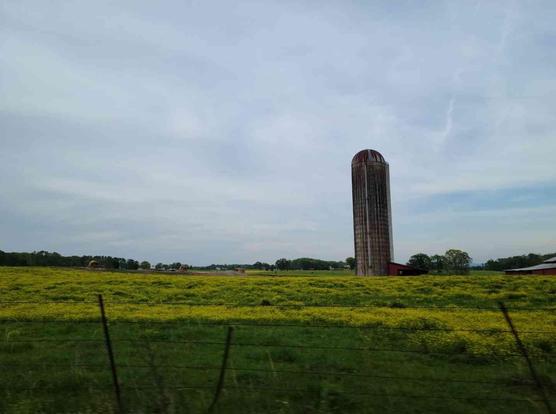 Rural landscape with a tall grain silo, a field of yellow wildflowers, and a wire fence.