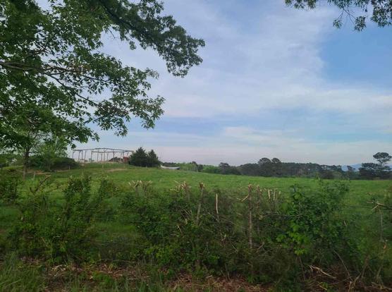 Open field with a metal frame structure, a wire fence, and trees in the background under a partly cloudy sky.