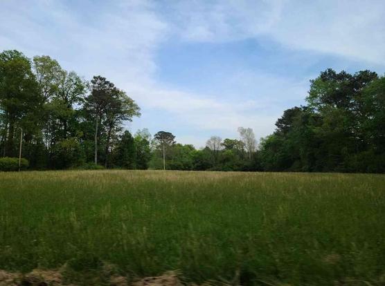 Wide expanse of grassy field bordered by trees under a partly cloudy sky.