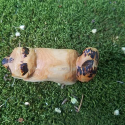 top view of carved raccoon. the mask and rings on the tail are scorch marks